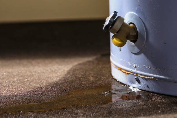 Best Emergency water extraction  in Park City, KS