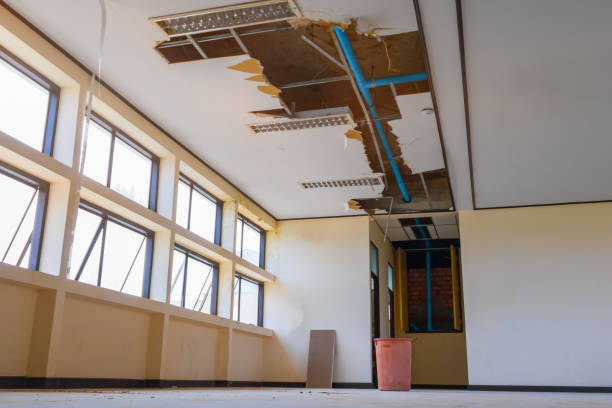 Best Carpet water damage restoration  in Park City, KS