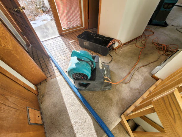 Best Professional water damage repair  in Park City, KS