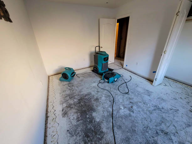 Best Carpet water damage restoration  in Park City, KS