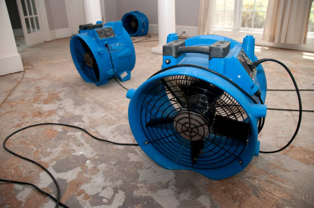 Best Local water damage restoration  in Park City, KS