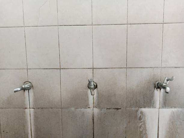 Best Fire Damage Restoration  in Park City, KS