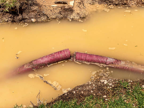 Best Water damage restoration experts  in Park City, KS