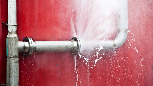 Best Mold removal after water damage  in Park City, KS
