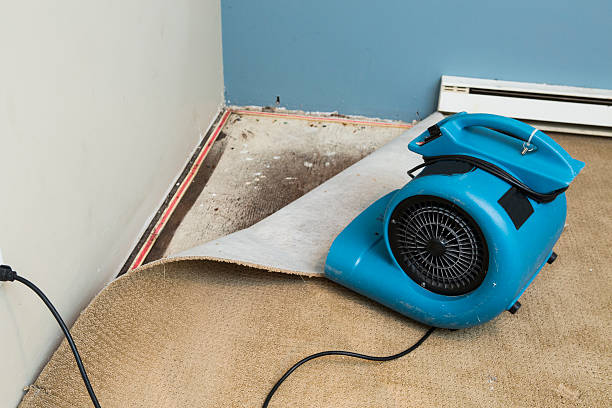 24/7 water damage repair in Park City, KS